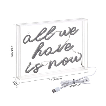 All We Have Is Now Contemporary Glam Acrylic Box USB Operated LED Neon Light - JONATHAN Y